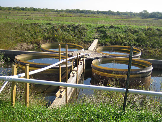Aquatic enclosures