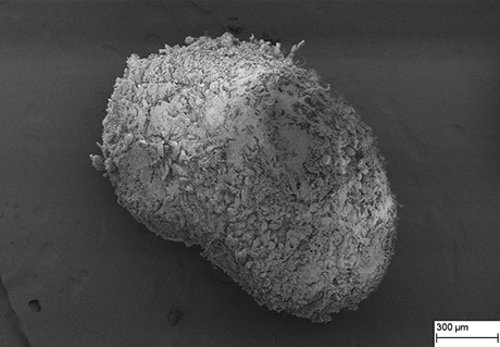 Scanning electron microscope image of a rough, textured particle with a scale marker, showing fine details and structures on its surface.