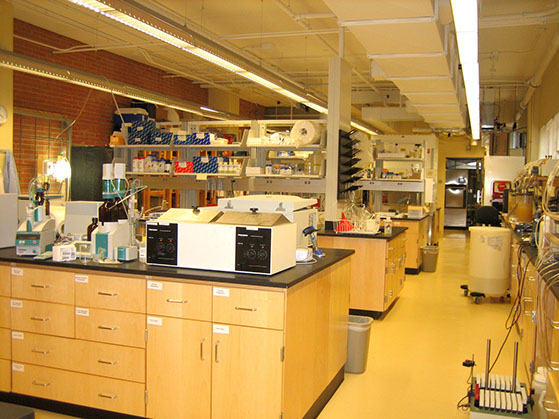 Wet laboratory facility (Lab space)