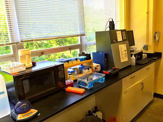 Gel electrophoresis and documentation