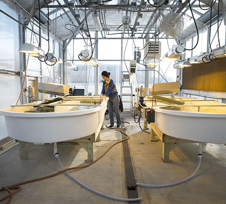 Greenhouse facility