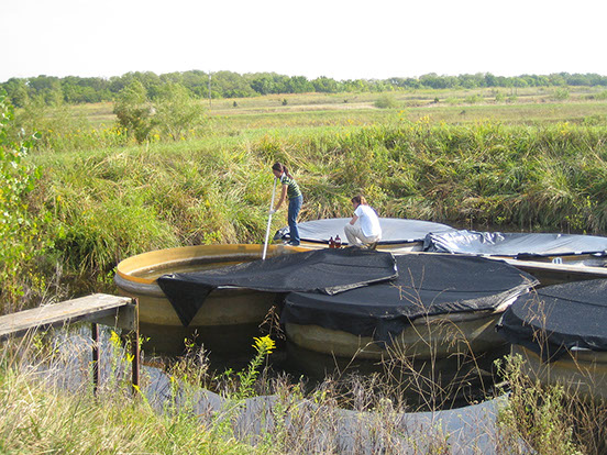 Students sampling aquatic enclosures at NESA