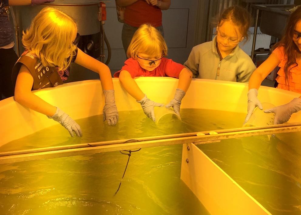Kids dipping their buckets into the water