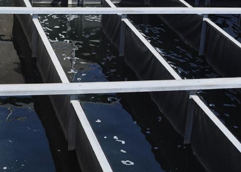 Pool of water separated by columns of rectangles
